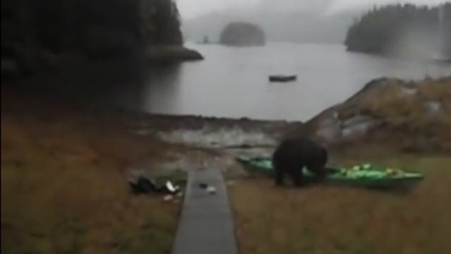 Un ours détruit le kayak d’une femme pendant qu'elle le supplie d’arrêter