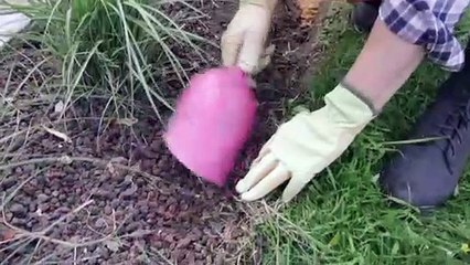 DIY Jardin - Délimiter les massifs par une bordure