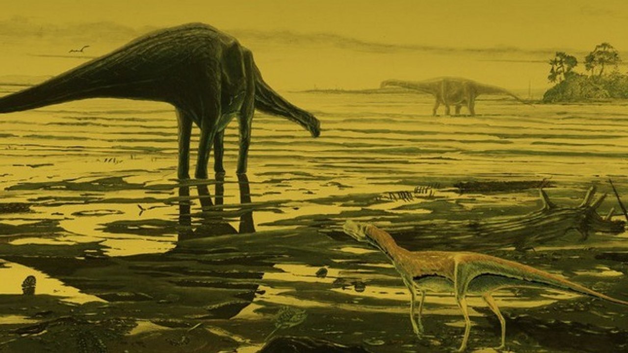 Des empreintes de dinosaures vieilles de 170 millions d'années retrouvées sur une île d’Ecosse