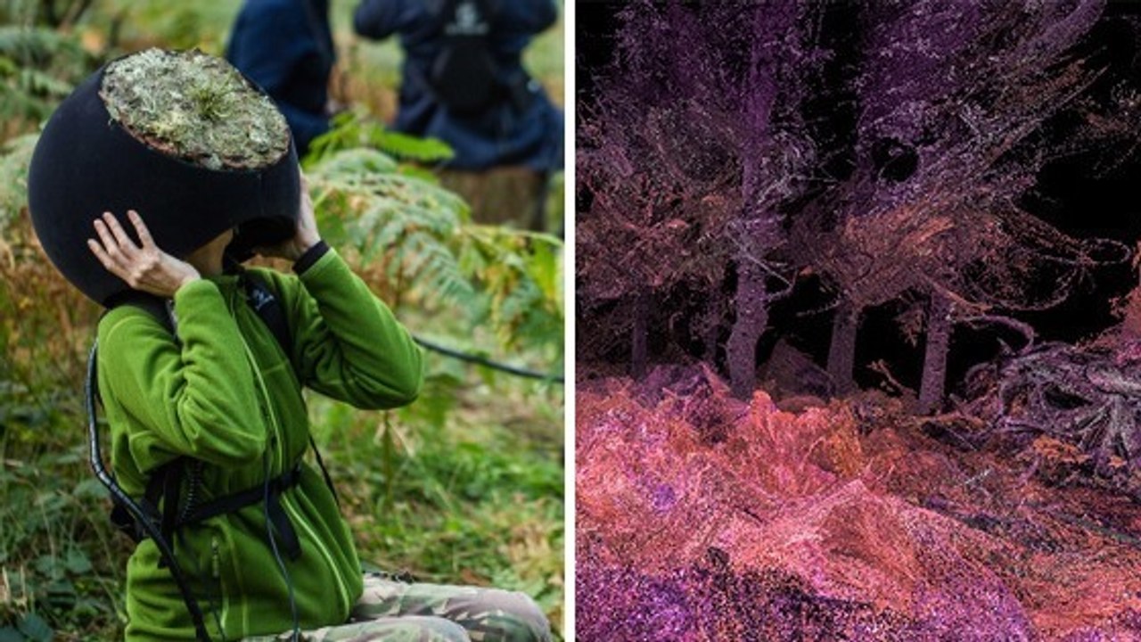 Cette expérience vous propose de découvrir la forêt à travers les yeux des animaux
