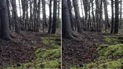 Cette étrange vidéo montre-t-elle la Terre ''en train de respirer'' ?