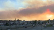 İklim değişikliği orman yangınlarıyla mücadeleyi zorlaştırıyor