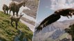 L'impressionnante attaque d'un aigle sur un chamois filmé en pleine nature