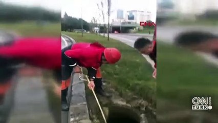 Rögarda mahsur kalan köpeği itfaiye kurtardı