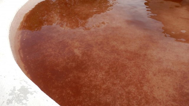 Le mystère de la pluie de sang qui a touché l'Espagne enfin élucidé