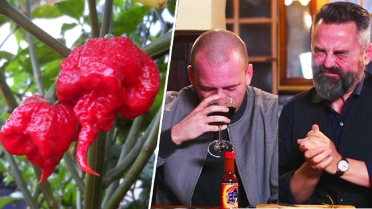 Deux hommes s'amusent à goûter le Carolina Reaper, le piment le plus fort du monde