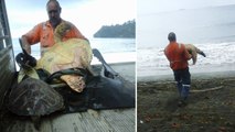 Cet homme achète des tortues de mer au marché pour leur rendre la liberté