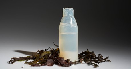 Un étudiant islandais crée une bouteille biodégradable fabriquée à partir d'algues