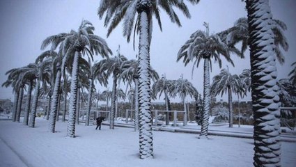 A-t-il vraiment neigé en Arabie Saoudite pour la première fois depuis 85 ans ?