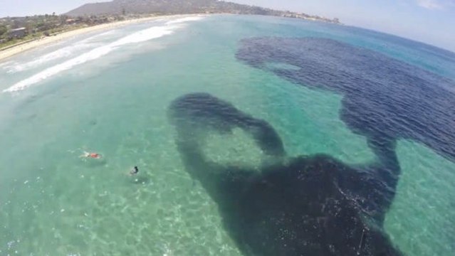 Badegäste entsetzt: Unter der Wasseroberfläche braut sich etwas zusammen