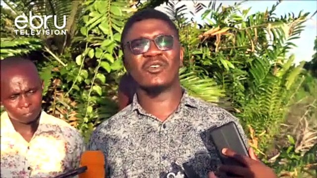 Kilifi Governor Amason Kingi Says PAA Is The Savior Of Coastal Region