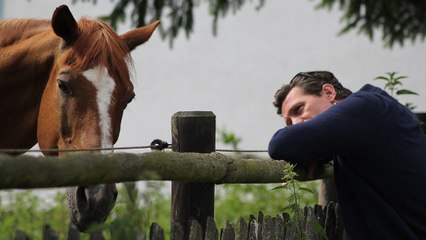 Les chevaux sont capables de comprendre une partie de nos émotions