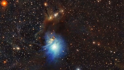 La splendide image d'une nébuleuse illuminée par la lumière d'une jeune étoile