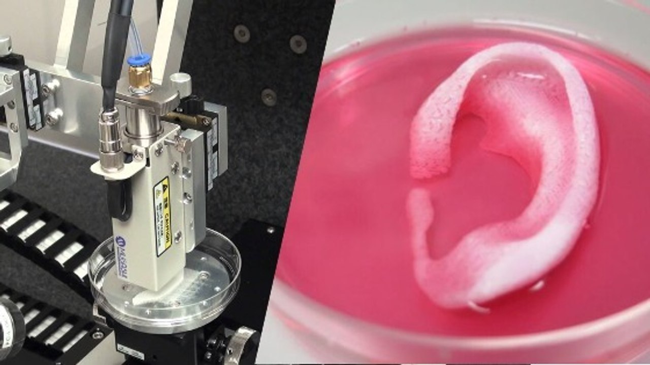 Des chercheurs créent une imprimante 3D capable de fabriquer des tissus et organes humains