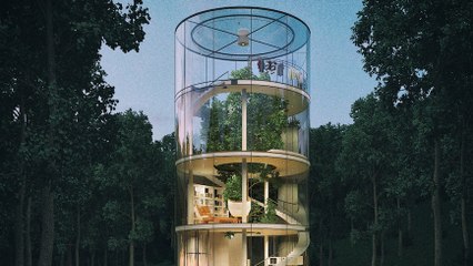 Un architecte imagine une incroyable maison en verre construite autour d'un arbre