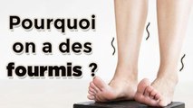 Pourquoi a-t-on parfois des fourmis dans les jambes ?