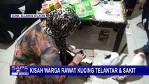 Kepedulian Terhadap Kucing, Ibu Rumah Tangga Ini Rela Rawat Kucing Sakit dan Terlantar