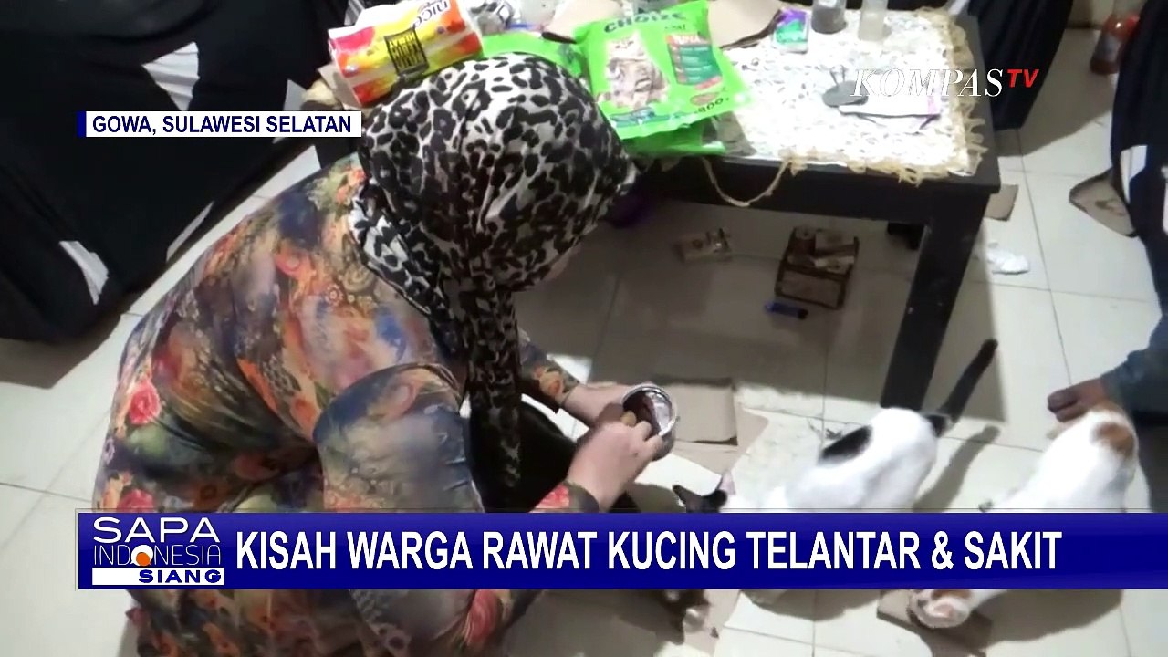 Kepedulian Terhadap Kucing, Ibu Rumah Tangga Ini Rela Rawat Kucing Sakit dan Terlantar