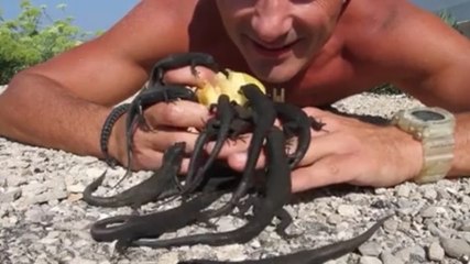 Quand un homme partage son déjeuner avec... des dizaines de lézards