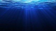 Voilà les sons qu'on entend à l'endroit le plus profond de l'océan