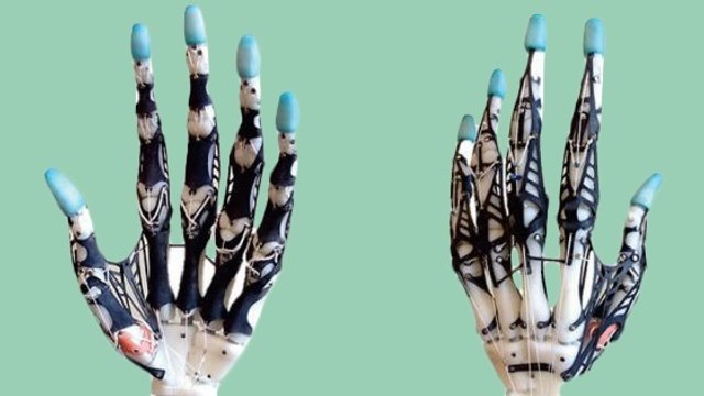 Des scientifiques créent une main robotique d'un réalisme incroyable