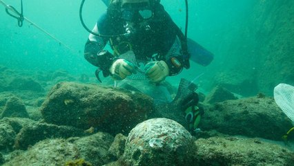Une épave portugaise vieille de 500 ans dévoile un remarquable trésor