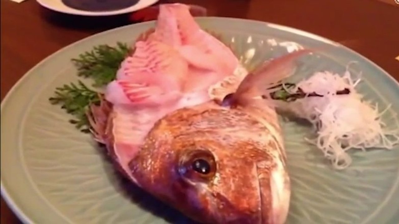 Mitten beim Essen beginnt der Fisch vom Teller zu springen