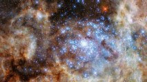 Hubble identifie des étoiles 