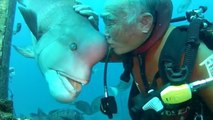 L'étonnante complicité entre un poisson et le plongeur japonais qui lui rend visite depuis 20 ans