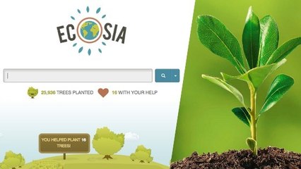 Ecosia, le moteur de recherche écolo qui vous propose d'aider à planter des arbres