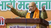 SP, BSP govts pushed Uttar Pradesh to ‘BIMARU’ state category: Amit Shah in Aligarh