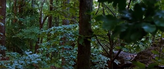 Açlık Oyunları Orijinal Fragman