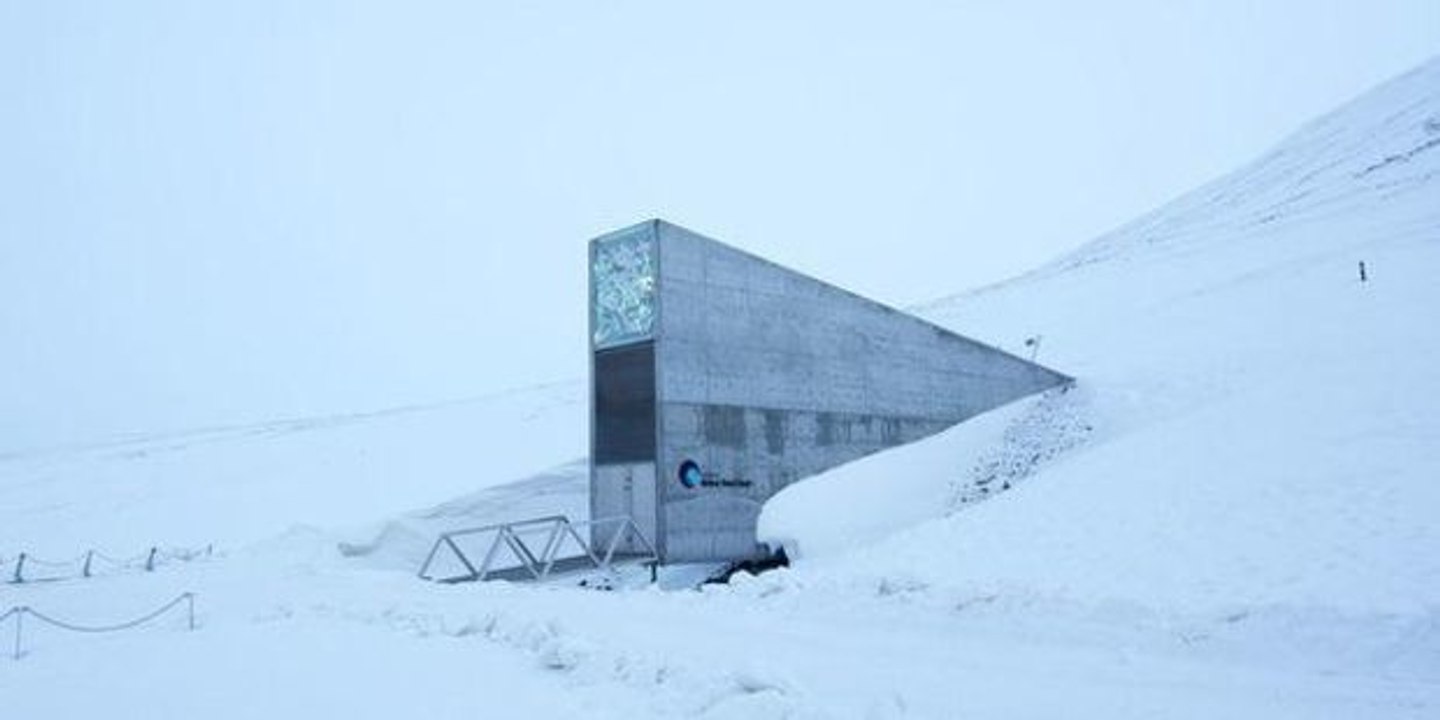 Wohin sollte man bei einer Apokalypse fliehen?