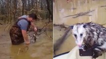 Deux frères viennent en aide à des animaux piégés par une inondation