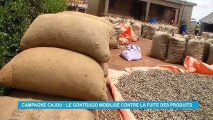 Campagne cajou : la région du Gontougo se mobilise contre la fuite des produits (Eco plus)