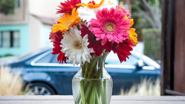 Comment préserver des fleurs coupées plus longtemps ? La science vous aide