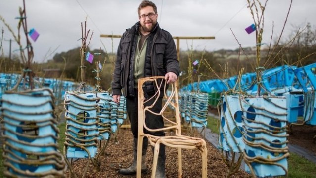 Gavin Munro, le designer qui fait pousser naturellement des chaises et des tables