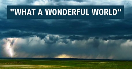 What a Wonderful World : une splendide vidéo rend hommage à la nature et ses habitants