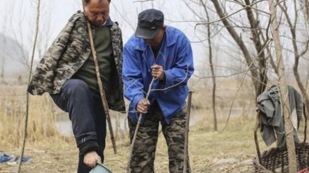L'incroyable histoire de deux Chinois handicapés qui ont replanté 10 000 arbres