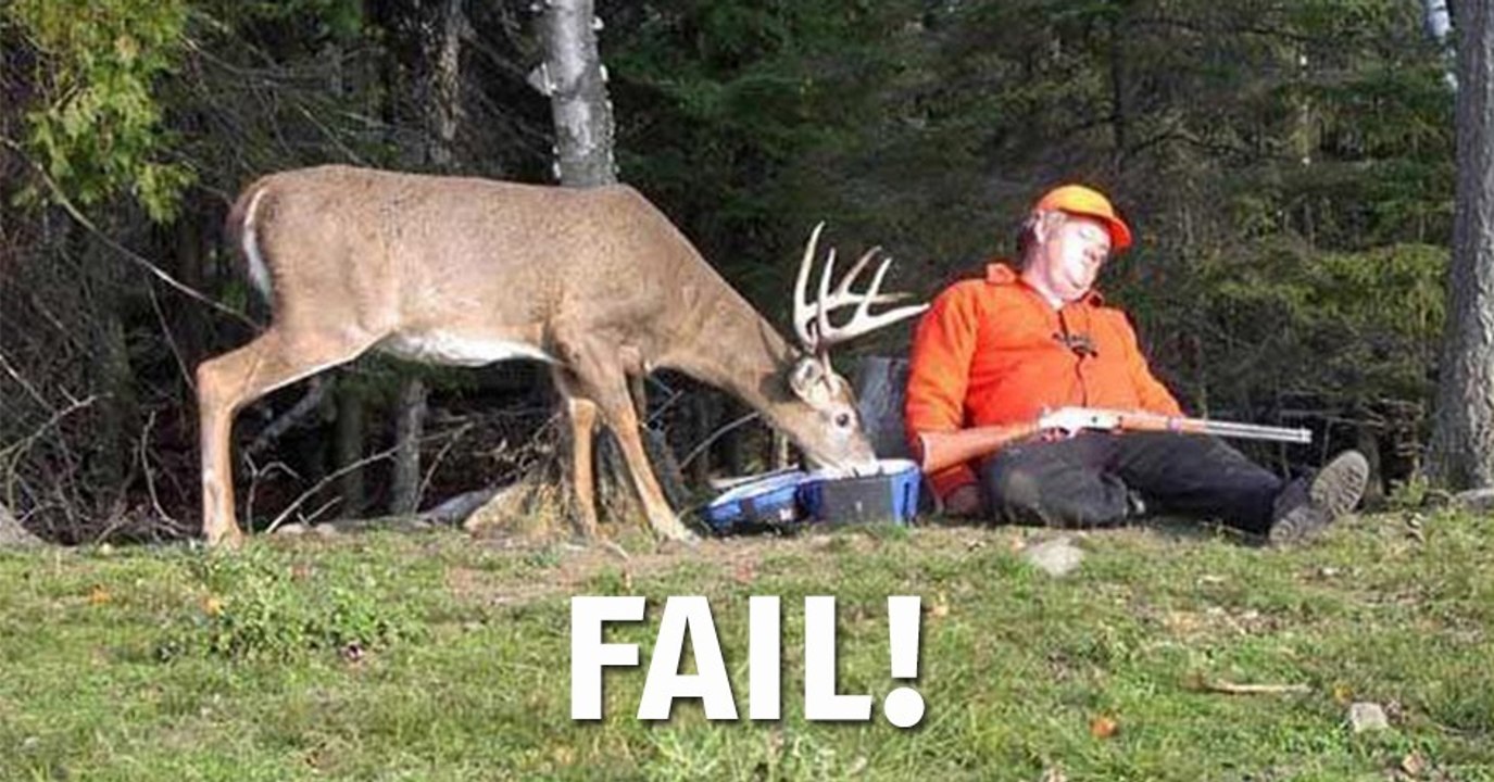 Wenn der unfähigste Jäger der Welt auf den dümmsten Hirschen trifft