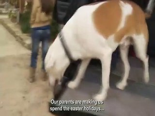 Paranormal 3D Orijinal Fragman