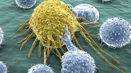 Un "vaccin universel" contre le cancer montre des résultats prometteurs