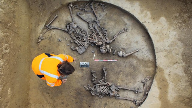 Les traces d'un massacre vieux de 6000 ans découvertes en Alsace