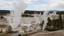 Un Américain de 23 ans meurt à Yellowstone en chutant dans une source acide