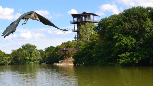 Le Parc des Oiseaux inaugure une tour exceptionnelle pour un voyage entre terre et ciel