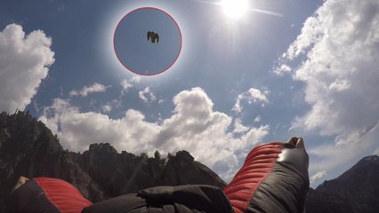 Quand un faucon pèlerin pourchasse un parachutiste en chute libre