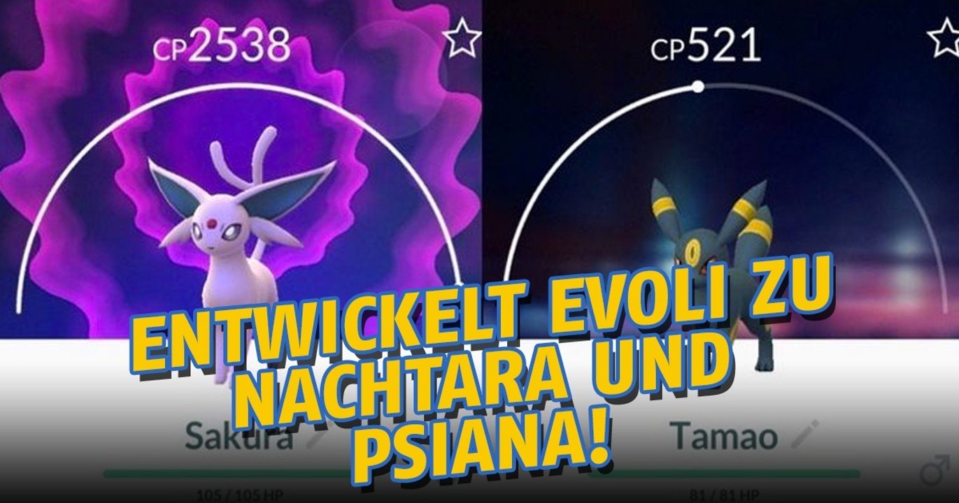 So entwickelt ihr Evoli zu Nachtara und Psiana