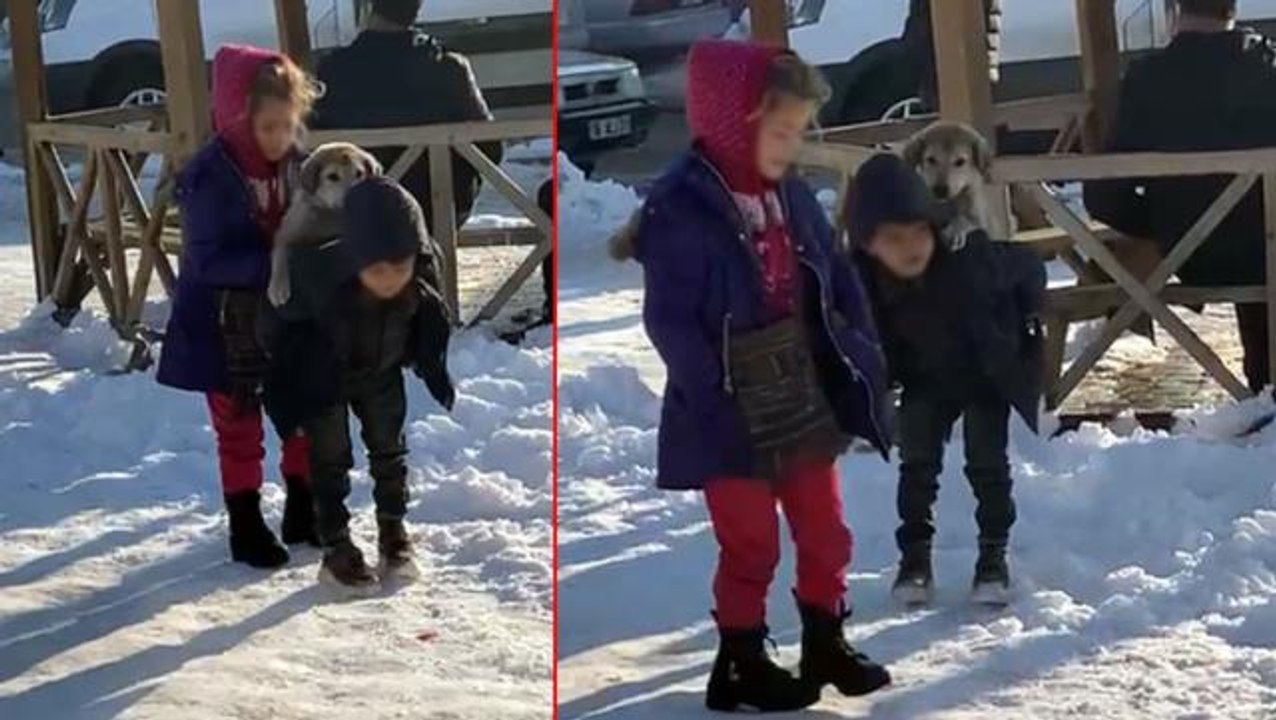 Yürek ısıtan görüntüler! Küçük çocuk, yavru sokak köpeğini sırtında taşıyıp sahip çıktı