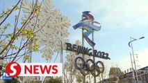 Soaking up Chinese New Year atmosphere as Winter Olympics draws near
