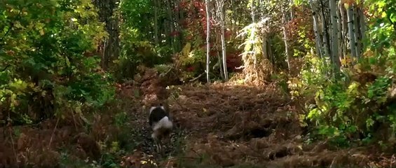 Can Yoldaşım Altyazılı Fragman (2)